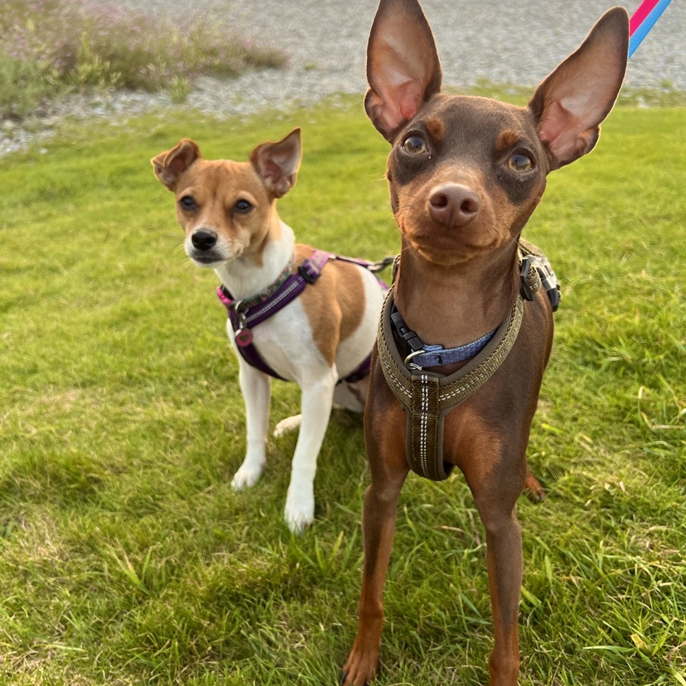 Meet your Posher, Karly